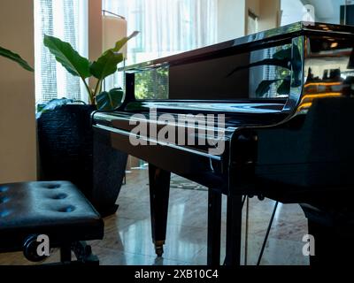 Close-up black piano, empty leather seat and plant pot near big glass window with white curtain in lobby room or restaurant in hotel with nobody. Stock Photo