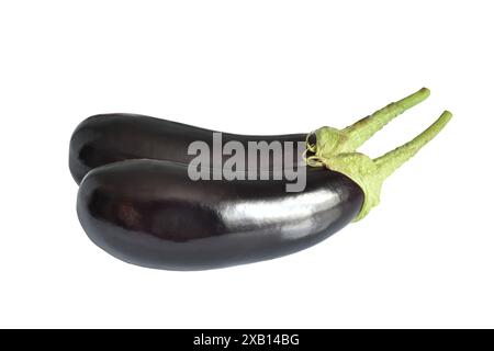 Aubergine eggplant isolated on white. Eggplant Clipping Path. Quality photo for your project. High quality photo Stock Photo