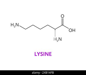 Lysine amino acid chemical molecule, essential chain structure. Essential amino acid molecule compound, muscle protein science chain or nutritional supplement molecular vector formula Stock Vector