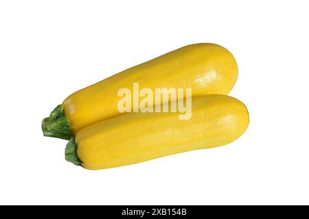 Isolated zucchini. Two zucchini or courgettes isolated on white background with clipping path. High quality photo Stock Photo