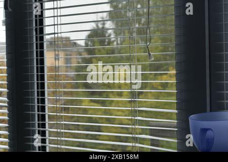 View of the urban area, buildings, trees, through open window blinds. Stock Photo