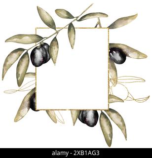 watercolor frame with branch of black olives with leaves and fruits ...