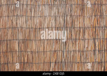 Reed straw fencing background and texture, old worn surface with organic natural pattern Stock Photo