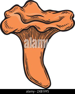 Line drawing chantarelle mushroom vector illustration. Stock Vector