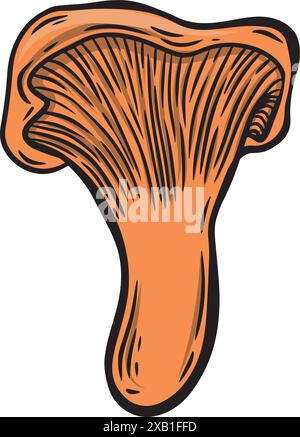 Engraved chantarell mushroom line drawing isolated on white background. Stock Vector