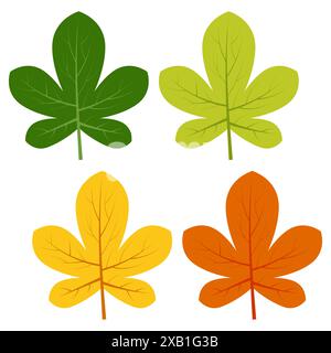 Set of green, yellow and red leaves isolated on white background. Vector illustration of autumn leaves. Stock Vector