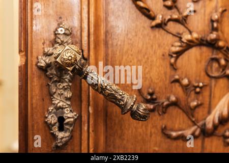 Metal handle and decorative carving design elements of vintage wooden door, close up photo, front view Stock Photo