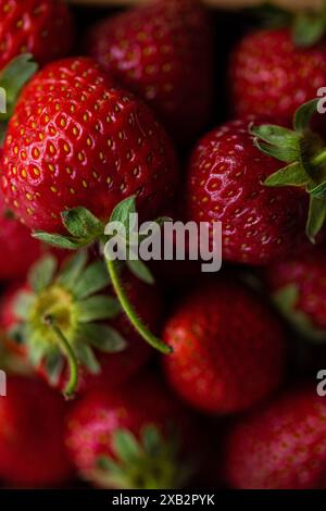 Close-up image showcases a selection of fresh, ripe strawberries with vibrant red hues, captured in natural lighting to emphasize their organic qualit Stock Photo