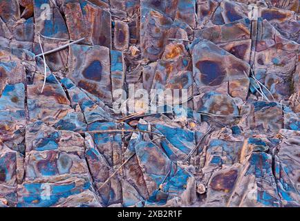 Detailed view of a vividly colored slate rock surface, with intricate textures and embedded branches and twigs, showing the complex interaction of che Stock Photo