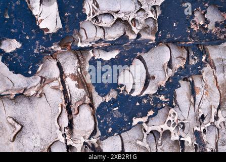 Alveolar erosion on cliff; cold and warm tones conduits excavated in the rock by the action of the sea, the sand and the passage of time Stock Photo