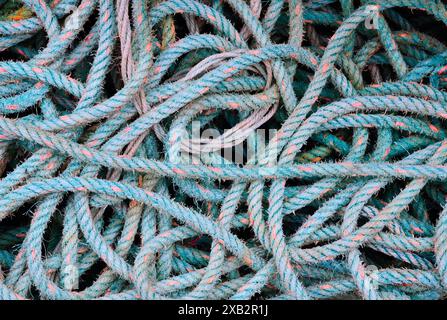A chaotic jumble of strong nylon ropes in hues of blue and green, essential for collecting shellfish pots in a fishing harbor. Stock Photo