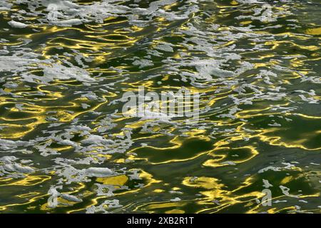 Striking image capturing golden sunlight reflections on undulating water surface of Cantabria, interspersed with white, frothy foam, creating a dynami Stock Photo