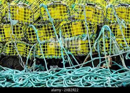 A vibrant array of yellow shellfish pots interconnected with strong teal nylon ropes at a harbor, set against warm moss greens and cool tones in the b Stock Photo