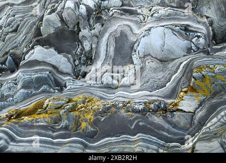 Abstraction on cliff with shapes and lines with warm tones, flows and lamination of quartzite and slate in mustard yellow tones Stock Photo