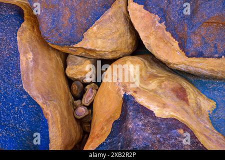 Close-up view of naturally occurring rocks showcasing vibrant blue and rusty textures, ideal for backgrounds or abstract art themes Stock Photo