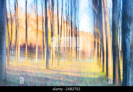 An artistic rendition of a forest in autumn, captured in an impressionistic style that blurs the details into colors and light. Stock Photo