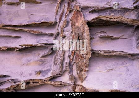 A close-up of a layered rock formation, featuring textured fine art details suitable for creative backgrounds. Stock Photo