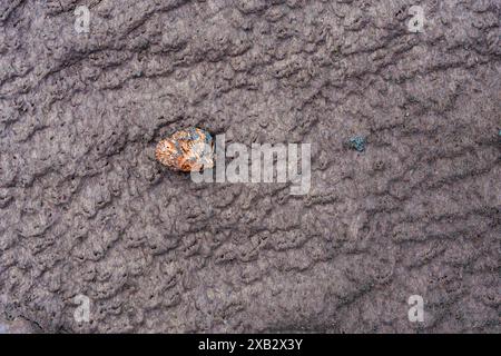 A close-up view of a weathered sand texture in the highlands, highlighted by a uniquely shaped, copper-colored stone amidst the rippled surface Stock Photo