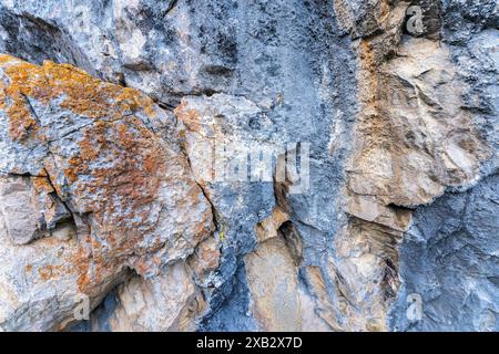 Close-up of multicolored textured rock surfaces with lichen growth, showcasing geological diversity in Valle de Liebana, Cantabria, Spain. Stock Photo