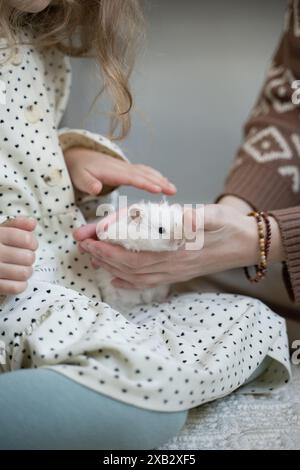 A cropped unrecognizable mother and daughter are lovingly holding a fluffy white hamster at home, focusing on the pet with gentle hands. Stock Photo