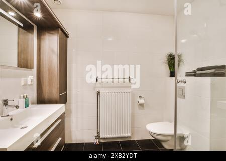This image captures a sleek and stylish bathroom with a modern design located in Oostzijde, Amsterdam The interior features a white and dark brown col Stock Photo