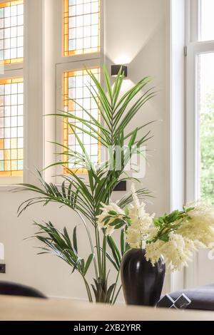 A well composed interior showcasing a vibrant green potted palm with delicate white blossoms in a sleek black vase, set against a charming stained gla Stock Photo