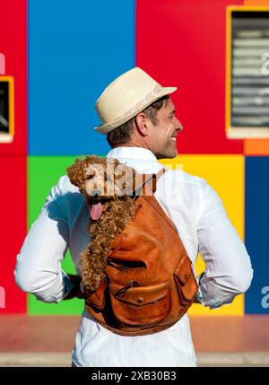 A cheerful man in a white shirt and straw hat carries a brown Toy Poodle in a leather bag, posing against a vibrant multicolored wall Stock Photo
