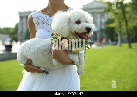 Bride and adorable Bichon wearing wreath made of beautiful flowers outdoors, closeup Stock Photo