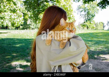 Adult ginger cat kept by ginger girl in the park Stock Photo