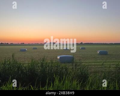 Wrapped bales of hay lie on a field with a colorful twilight sky in the background. Stock Photo