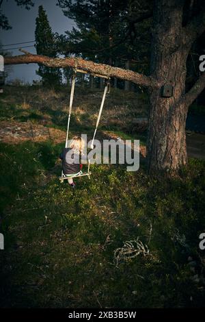 Rear view of girl sitting on swing hanging from tree in forest Stock Photo