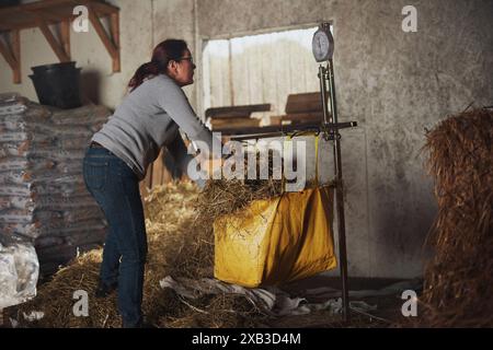 Side view of female worker weighing hay at barn Stock Photo