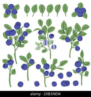 Berries drawn icons vector set. Illustration of colored fruits for design farm product, market label vegetarian shop. Stock Vector