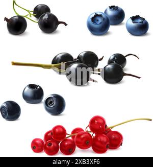 Berries set, realistic illustration. Currants, blueberries, bog whortleberry isolated on white background. Stock Vector