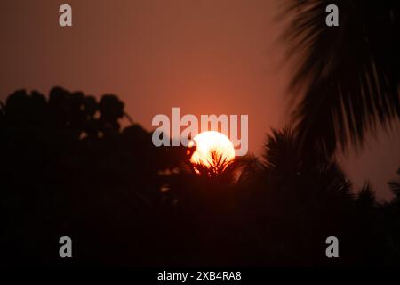 A stunning photograph capturing the vibrant orange sun setting behind silhouetted palm leaves, creating a dramatic and serene tropical evening scene. Stock Photo