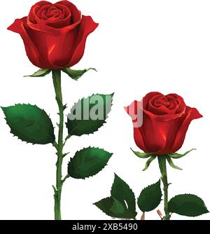 Red rose 3D flower isolated icon, vector illustration on white background. Stock Vector