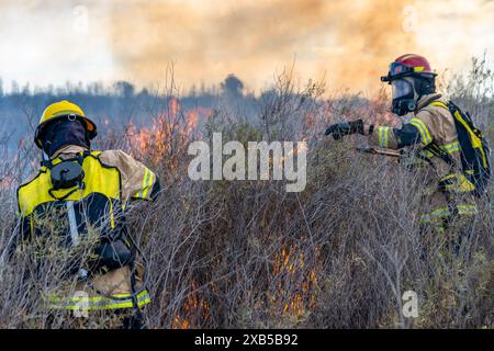Firefighters put out a fire in a residential neighbourhood following ...