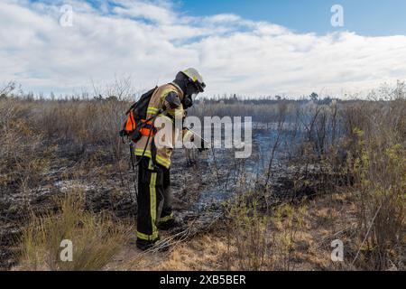 firefighters putting out forest fire Stock Photo