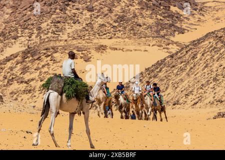 Camel safari with tourists near Aswan, Egypt, North Africa, Africa Stock Photo