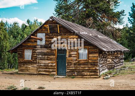 Old wooden hut of native people next to Auracauria (Pehuen), Stock Photo