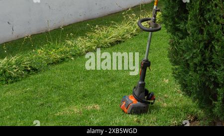 Electric trimmer on freshly cut lawn Stock Photo