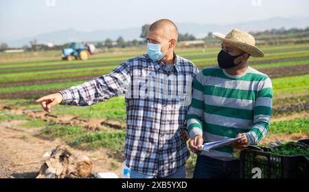 Farmer in protective masks discussing work plan on farm field Stock Photo