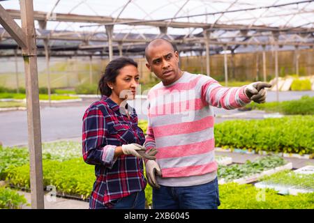 Two latino garden workers discussing working process Stock Photo