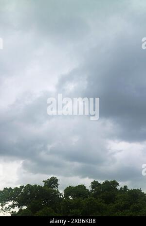 Dark stormy clouds in tropical monsoon season before heavy rain Stock Photo