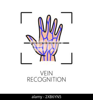 Vein recognition biometric identification or verification icon. Vector linear sign of hand with unique vascular pattern symbolizing advanced authentication technology for secure precise identification Stock Vector