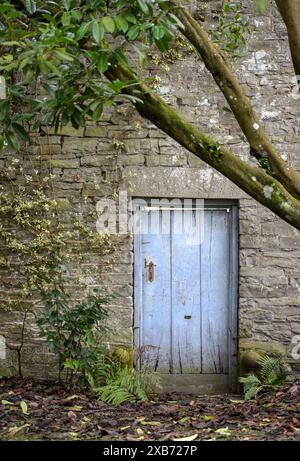 Blue door in walled garden. Stock Photo