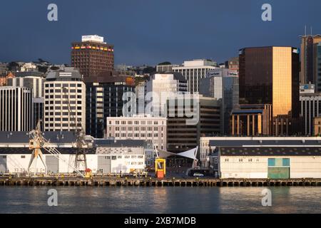 Central city and harbour, early morning, Wellington, North Island, New Zealand Stock Photo