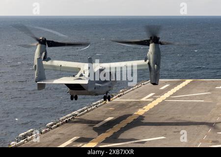 A U.S. Marine Corps MV-22B Osprey tiltrotor aircraft with Marine Medium Tiltrotor Squadron 365 (Reinforced), 24th Marine Expeditionary Unit (MEU) Spec Stock Photo