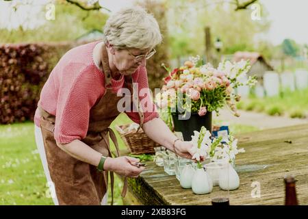 Senior woman arranging flowers in small vases on a table outdoors, representing gardening and floral decoration activities. Stock Photo