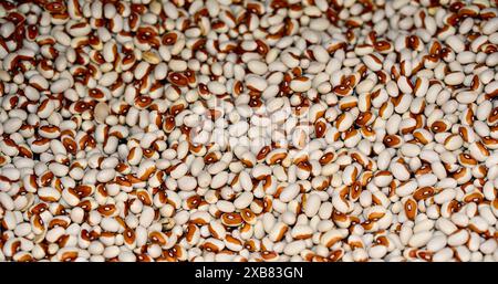 Close-up of beans with tiny brown and white stripes Stock Photo